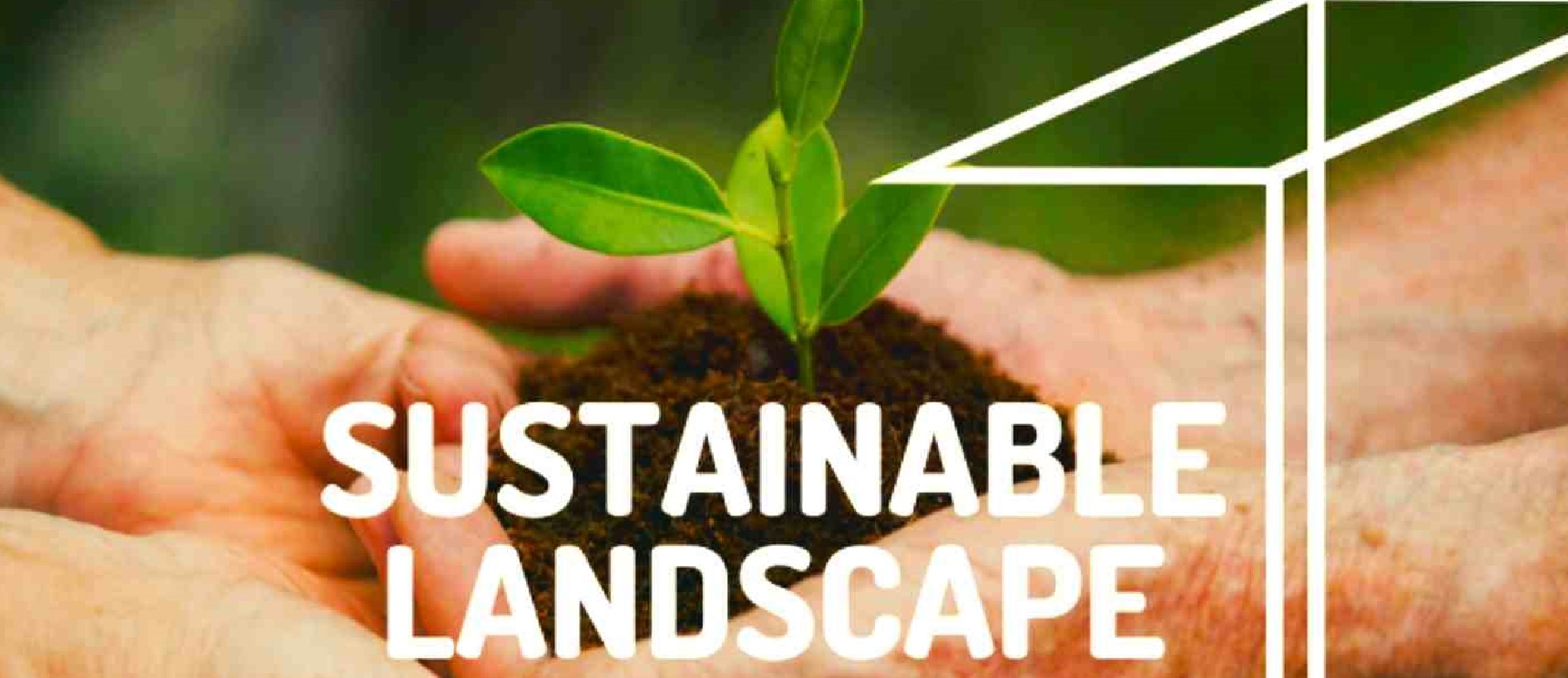 SUSTAINABLE LANDSCAPING